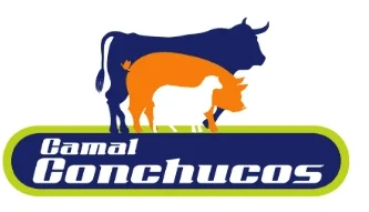 logo-imagne